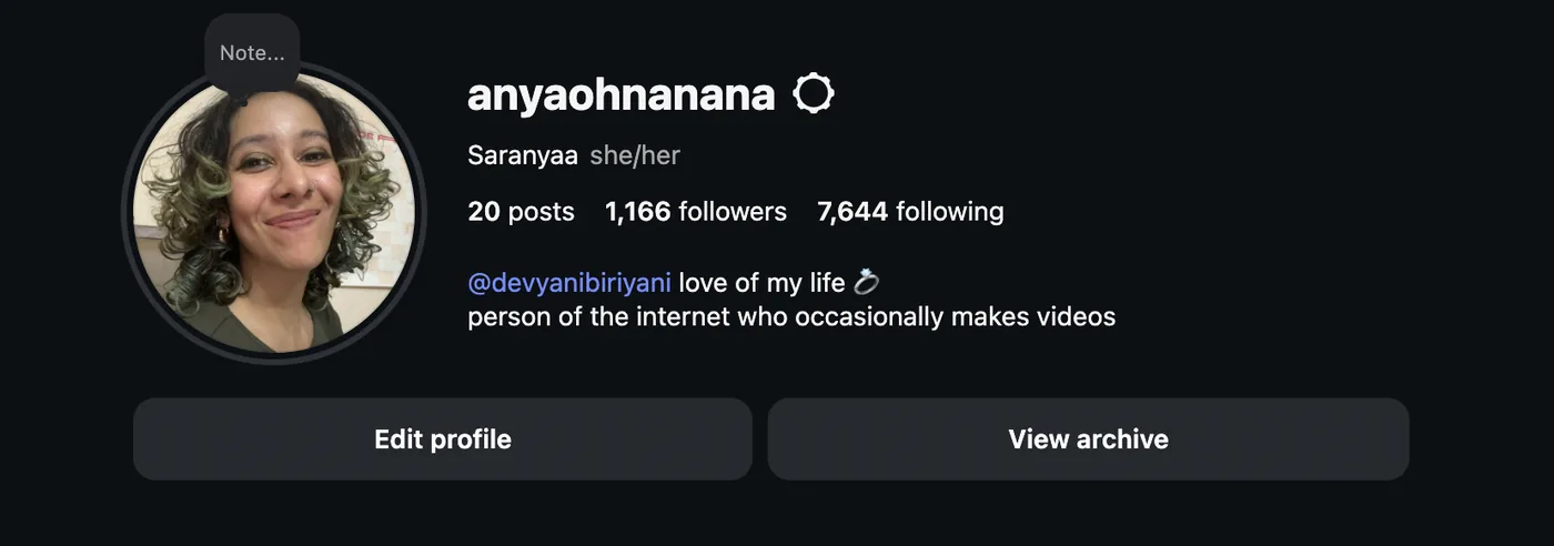 Anya’s Instagram profile, described as a person of the internet who occasionally makes videos.